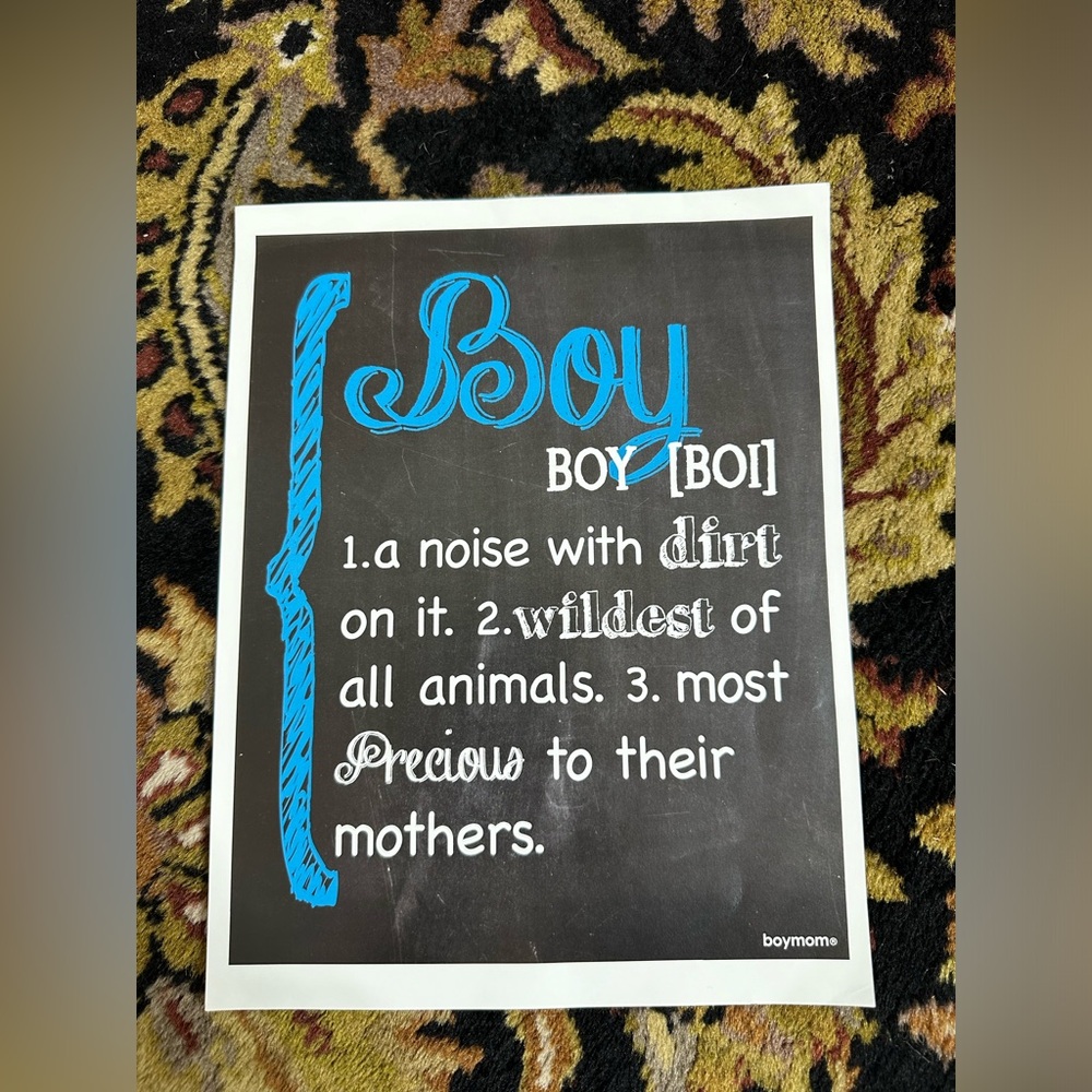 NWOT Boymom Boy Definition Print
